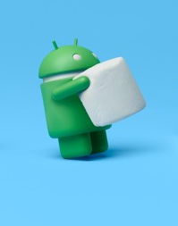 Marshmallow